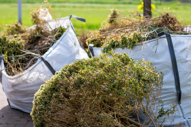 Reliable Osakis, MN Junk Removal Services Solutions